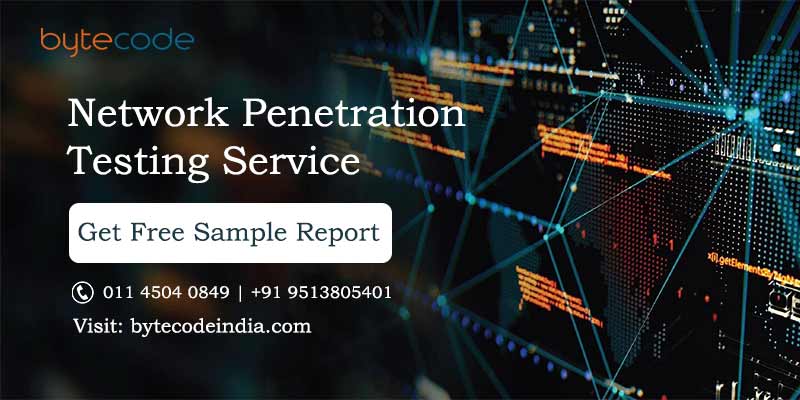 Network-Penetration Testing Service in Delhi